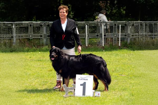 600x400_neu_champion_4