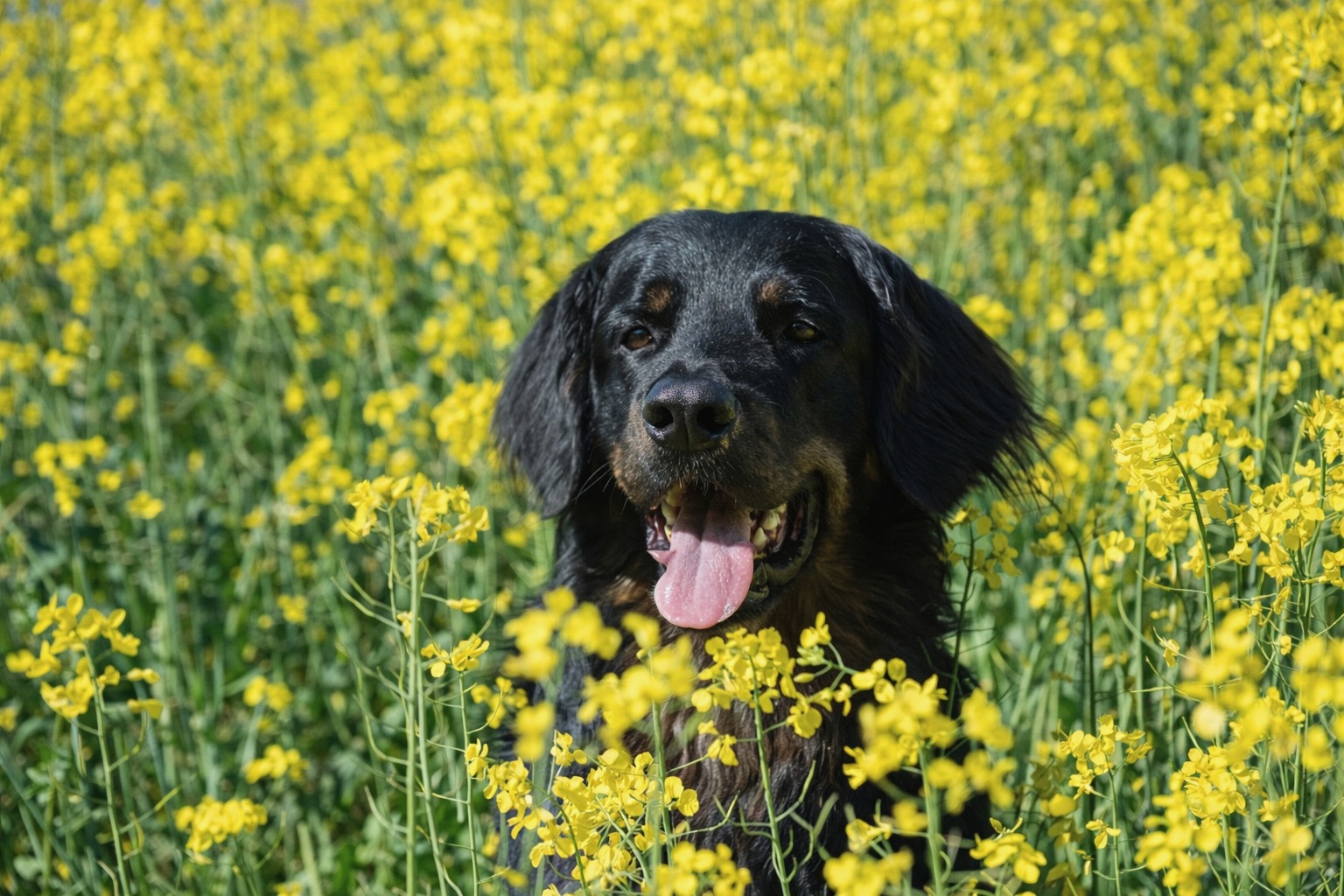 final_Serie wws 02_600 x 400_edel_600x400