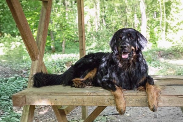 final_Serie wws 03 600x400_edel