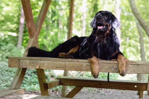 final_Serie wws 04_600x400_edel(1)