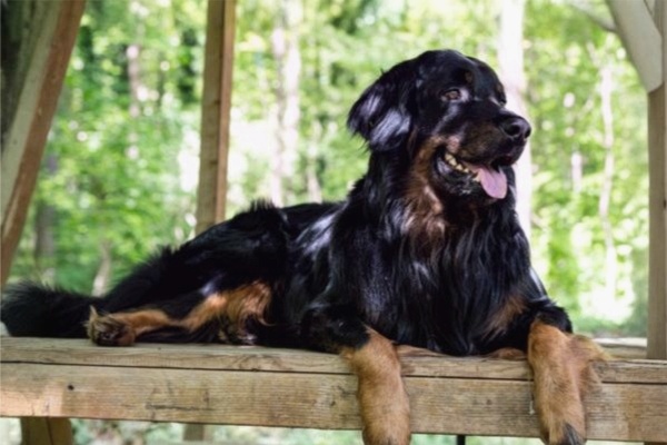 final_Serie wws 05_600x400_edel