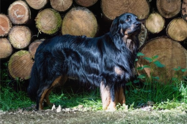 final_Serie wws 06_600x400_edel