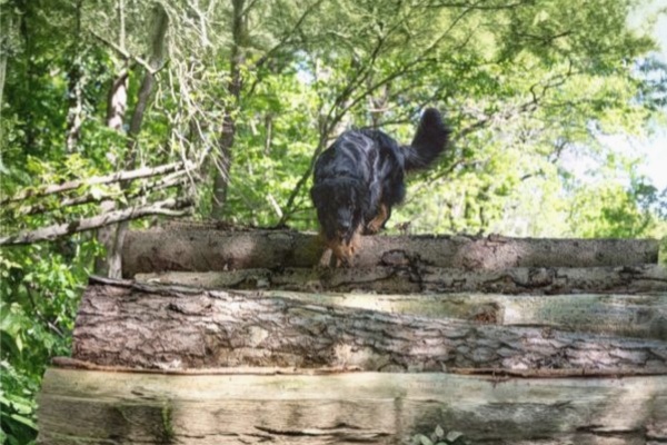 final_Serie wws 07_600x400_edel