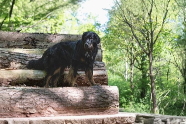 final_Serie wws 09_600x400_edel